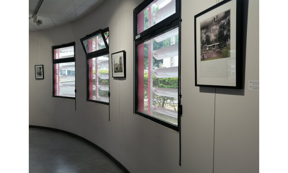 Une photo cadrée sur un mur entre deux fenêtres.