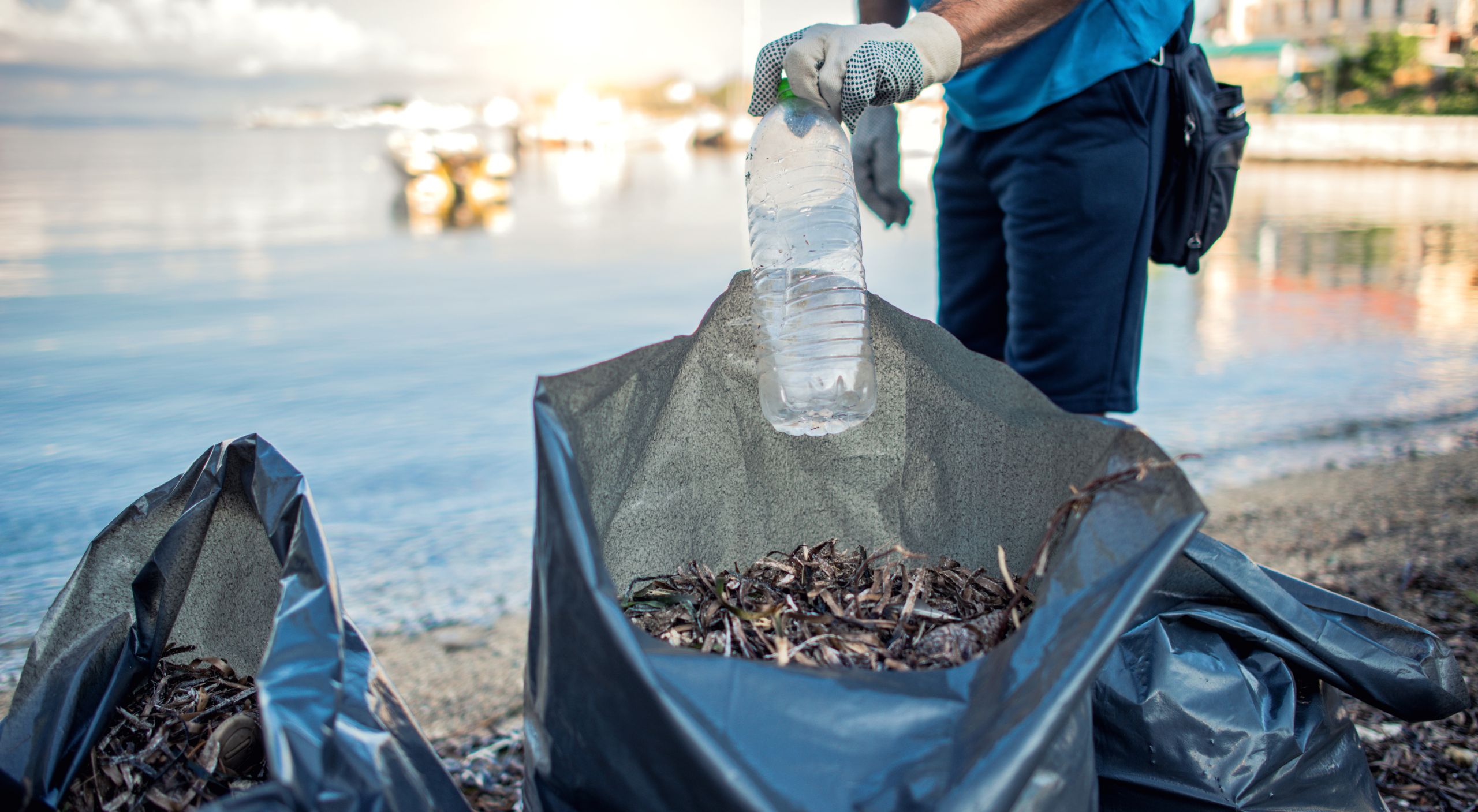 Clean Up Day Littoral de Terre Sainte