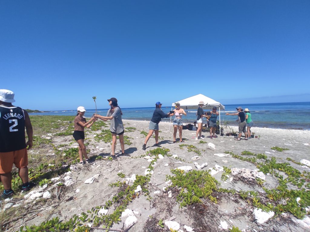 Photo des étudiants internationaux en pleine revégétalisation de la plage de St Leu 