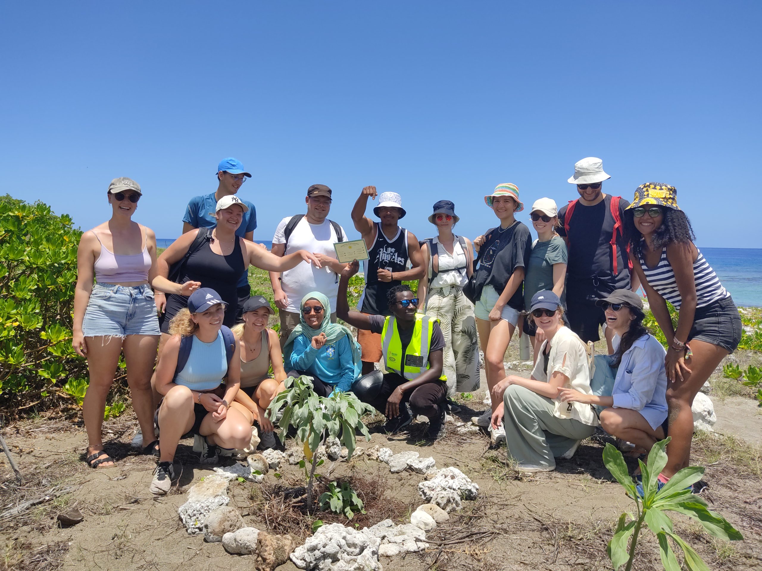 Les étudiants internationaux revégétalisent la plage de Saint-Leu