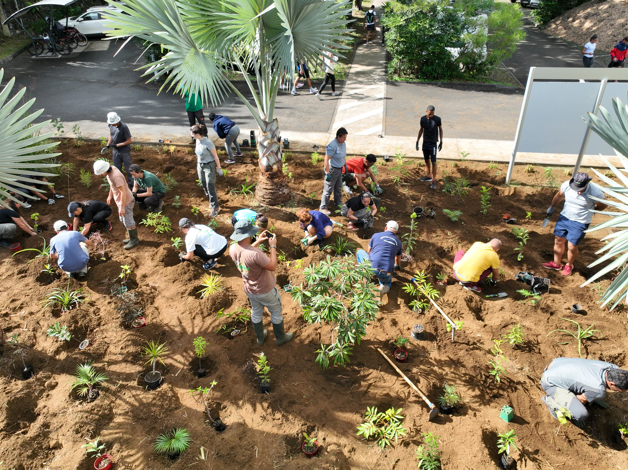 L’Université de La Réunion s’engage pour la biodiversité