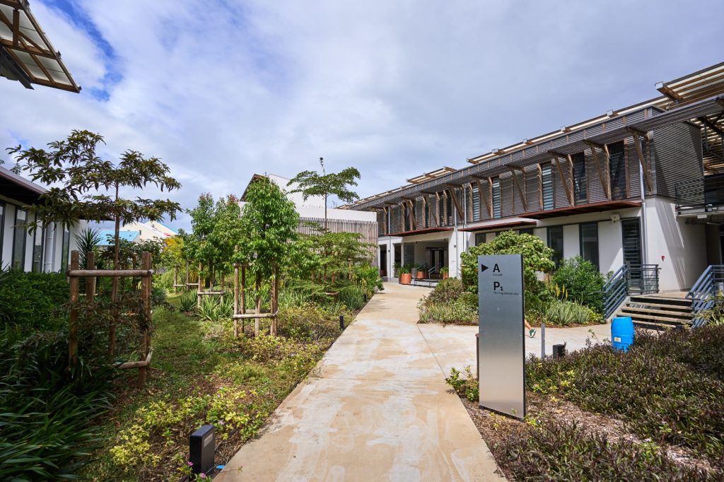 Photo en plan large du nouveau campus de Terre Sainte. À gauche et droite de l'image, les nouveaux bâtiments écologiques du campus. Au centre, une allée bétonnée menant à ces bâtiments.