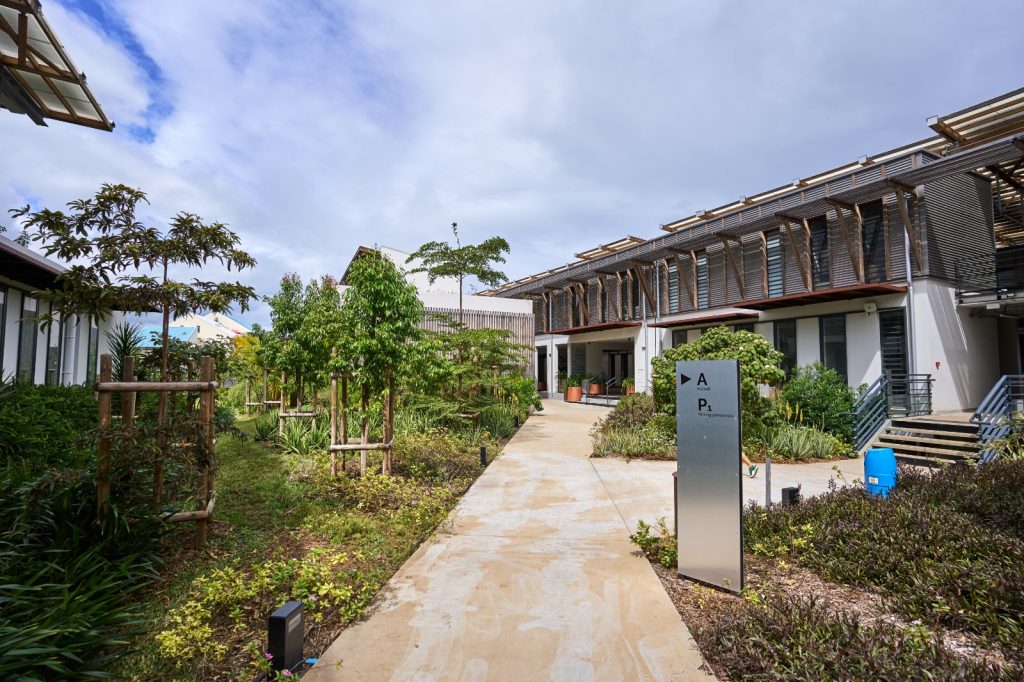 Wide shot photo of the new Terre Sainte campus. On the left and right of the image, the new green buildings on campus. In the center, a concrete path leading to these buildings.