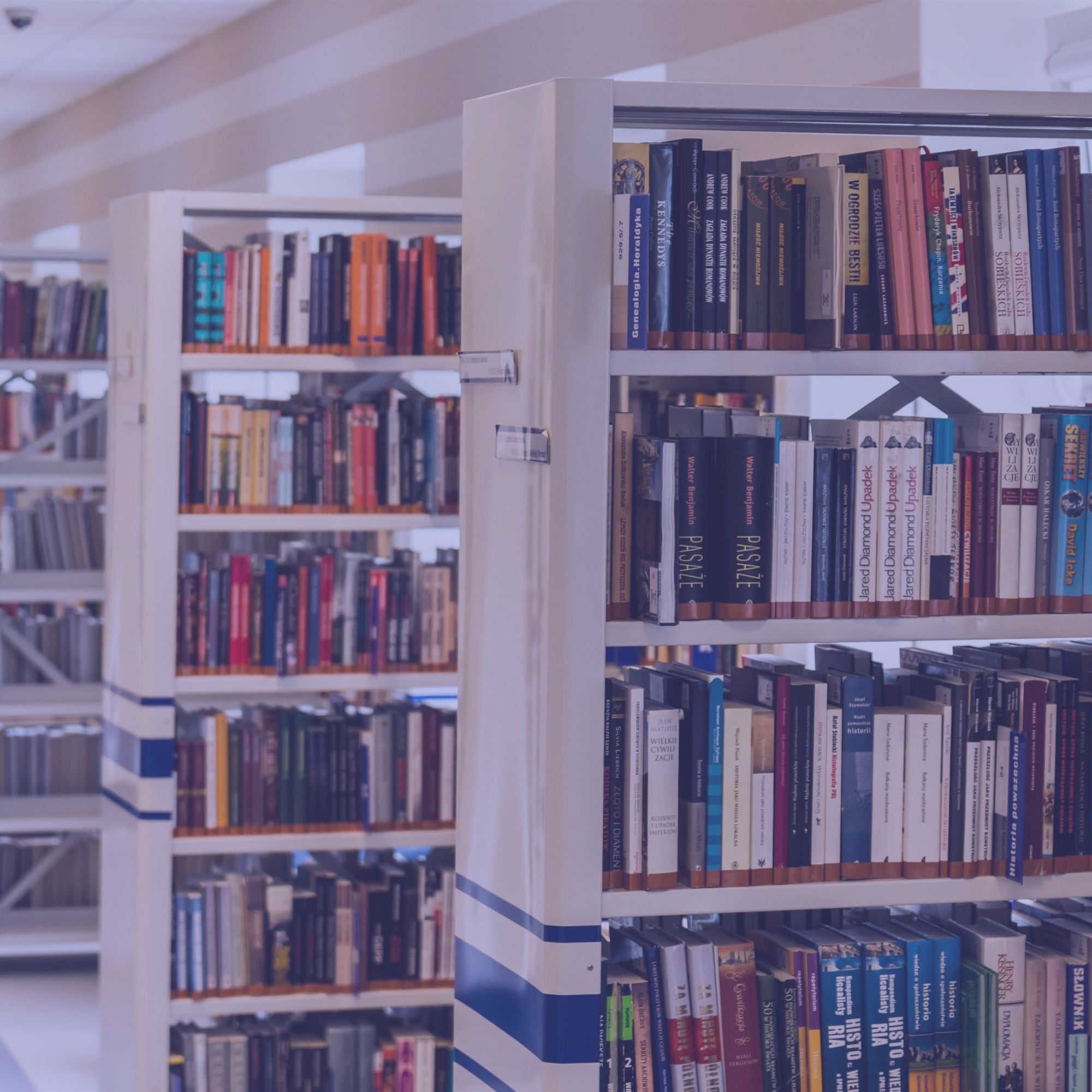 Rayonnages remplis de livres dans une bibliothèque universitaire.